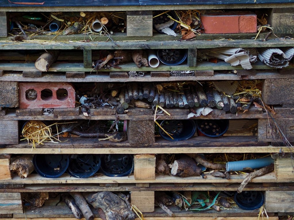 bug hotel wooden palettes in garden