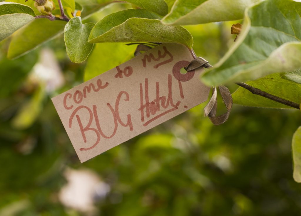 kids bug hotel open written sign