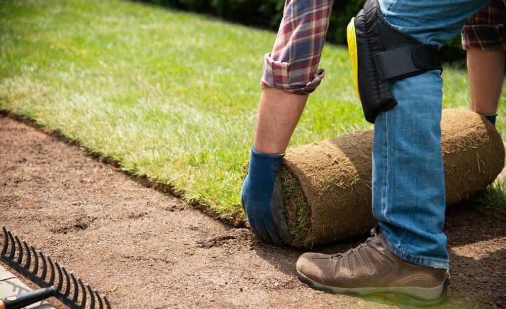 putting down real turf in garden