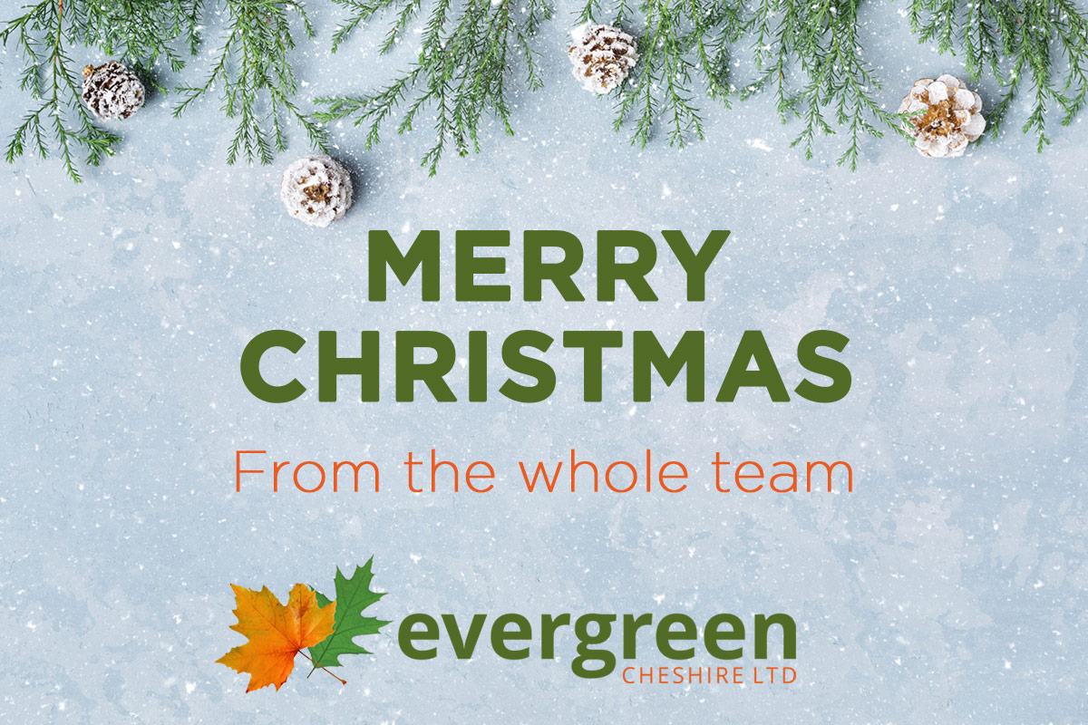 Evergreen Cheshire Christmas Opening Information