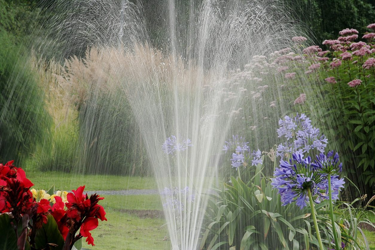 Watering the lawn