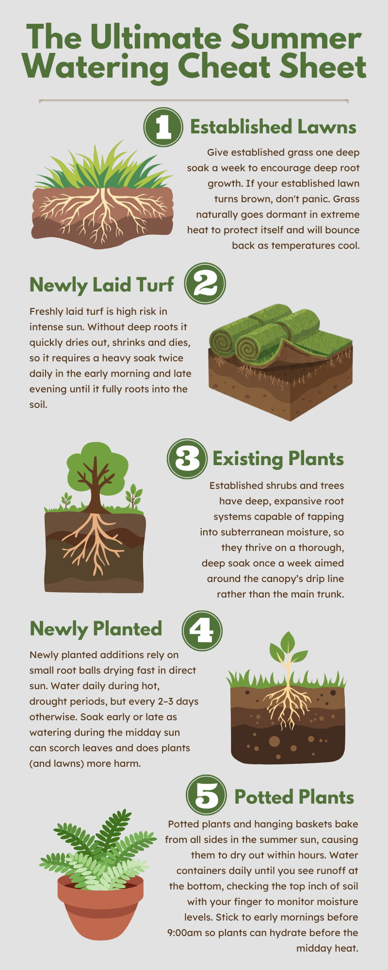 Guide to watering a garden in the summer
